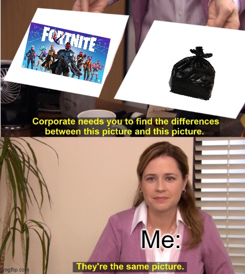 no offense for those fornite fans | Me: | image tagged in memes,they're the same picture | made w/ Imgflip meme maker