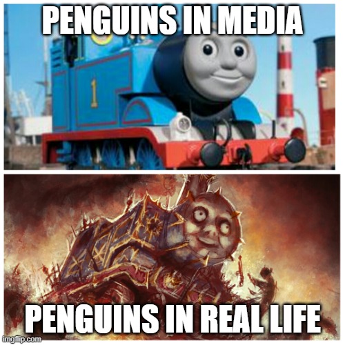 Penguins in real life | PENGUINS IN MEDIA; PENGUINS IN REAL LIFE | image tagged in thomas the creepy tank engine | made w/ Imgflip meme maker