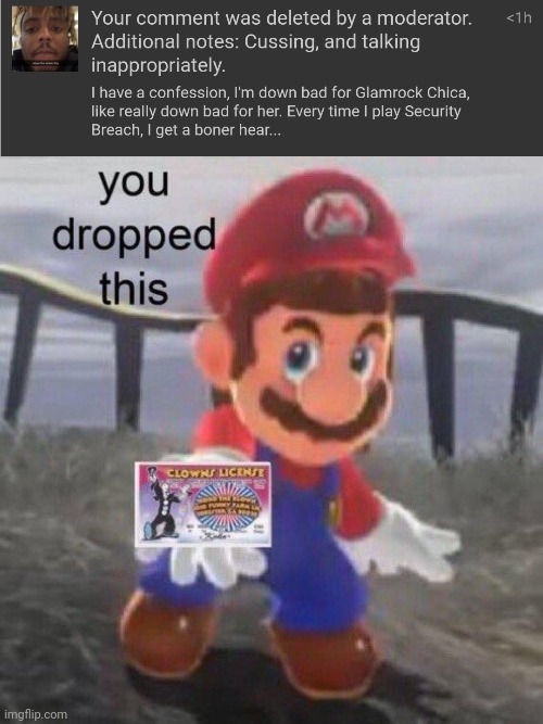 image tagged in mario you dropped this | made w/ Imgflip meme maker