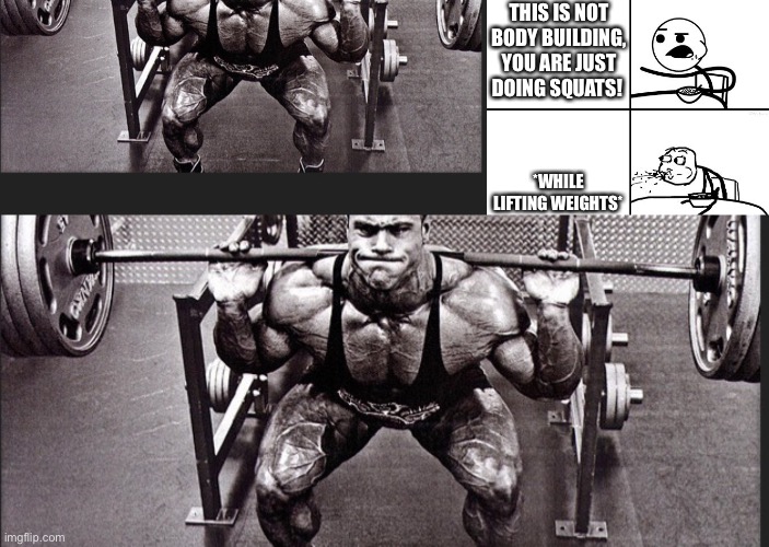 Lol | THIS IS NOT BODY BUILDING, YOU ARE JUST DOING SQUATS! *WHILE LIFTING WEIGHTS* | image tagged in he will never | made w/ Imgflip meme maker