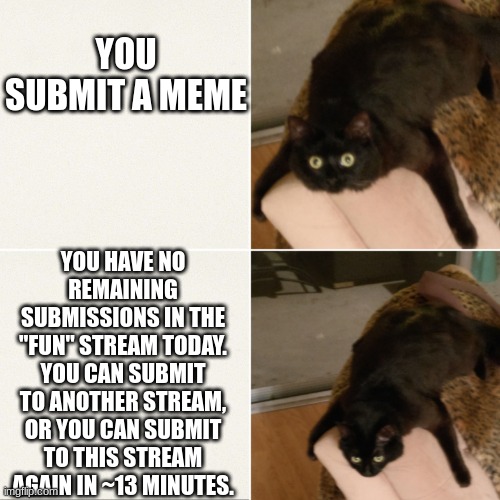 :( | YOU SUBMIT A MEME; YOU HAVE NO REMAINING SUBMISSIONS IN THE "FUN" STREAM TODAY. YOU CAN SUBMIT TO ANOTHER STREAM, OR YOU CAN SUBMIT TO THIS STREAM AGAIN IN ~13 MINUTES. | image tagged in dejected cat,memes | made w/ Imgflip meme maker