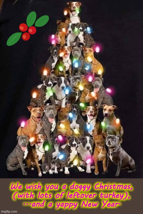 Doggy Christmas | We wish you a doggy Christmas,
(with lots of leftover turkey),
...and a yappy New Year. | image tagged in barking | made w/ Imgflip meme maker
