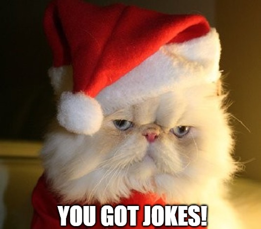 no clown here!! | YOU GOT JOKES! | image tagged in festive cat,grumpy cat | made w/ Imgflip meme maker
