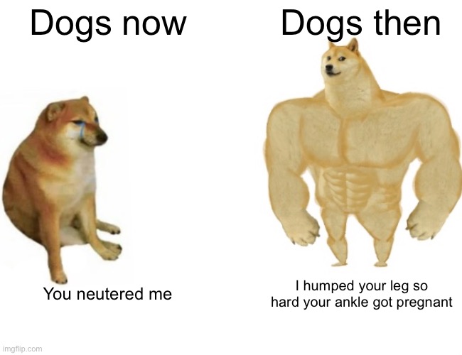 Back in My Day | Dogs now; Dogs then; You neutered me; I humped your leg so hard your ankle got pregnant | image tagged in buff doge vs cheems | made w/ Imgflip meme maker