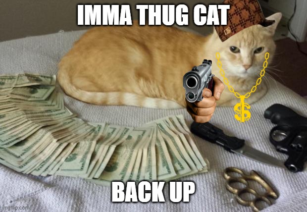 Thug life | IMMA THUG CAT; BACK UP | image tagged in thug life | made w/ Imgflip meme maker