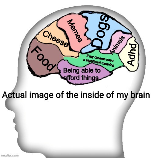 My brain all at once | Dogs; Memes; Cheese; Animals; Adhd; Food; If my dreams have a significant meaning; Being able to afford things | image tagged in actual image of the inside of my brain | made w/ Imgflip meme maker
