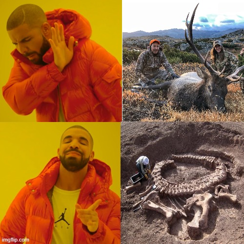 Fossil Hunting Wyoming | image tagged in dinosaurs,paleontology | made w/ Imgflip meme maker