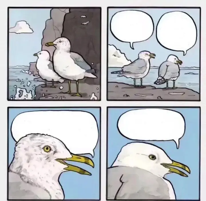 seagulls want some fries Blank Meme Template