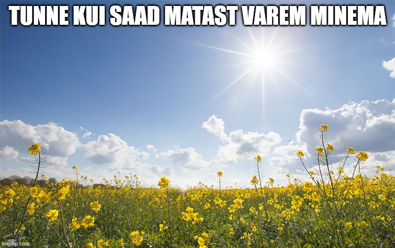 Sunshine | TUNNE KUI SAAD MATAST VAREM MINEMA | image tagged in sunshine | made w/ Imgflip meme maker