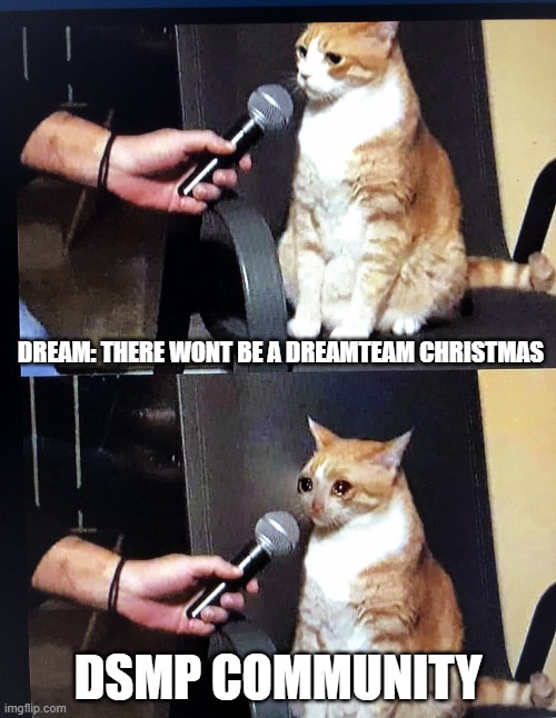 :( | DREAM: THERE WONT BE A DREAMTEAM CHRISTMAS; DSMP COMMUNITY | image tagged in cat interview crying | made w/ Imgflip meme maker