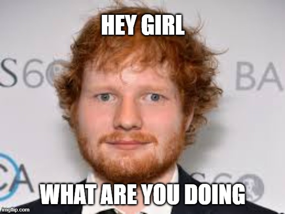 Derpy Ed Sheeran | HEY GIRL; WHAT ARE YOU DOING | image tagged in derpy ed sheeran | made w/ Imgflip meme maker
