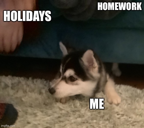 Stuck dog | HOLIDAYS; HOMEWORK; ME | image tagged in stuck dog | made w/ Imgflip meme maker