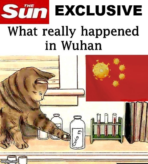 What really happened ? | image tagged in wuhan | made w/ Imgflip meme maker