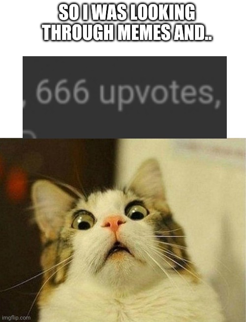 666 upvotes!? :0 | SO I WAS LOOKING THROUGH MEMES AND.. | image tagged in memes,scared cat | made w/ Imgflip meme maker