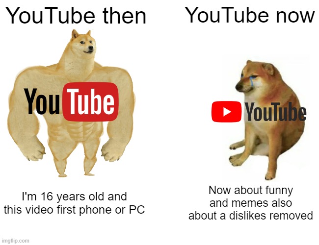 YouTube 2005 to 2022 | YouTube then; YouTube now; I'm 16 years old and this video first phone or PC; Now about funny and memes also about a dislikes removed | image tagged in memes,buff doge vs cheems | made w/ Imgflip meme maker
