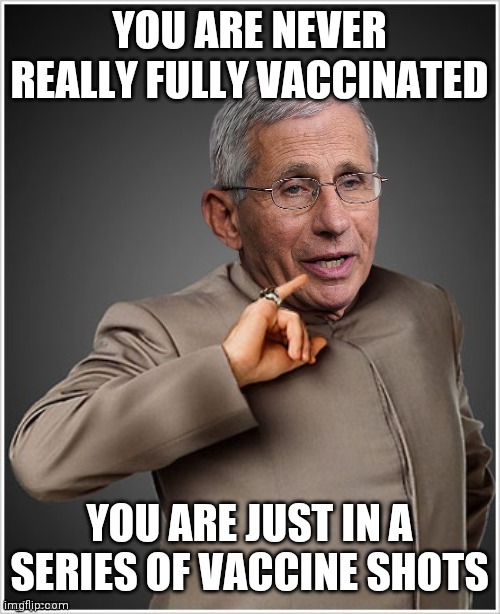 The Matrix: Hotel California | YOU ARE NEVER REALLY FULLY VACCINATED; YOU ARE JUST IN A SERIES OF VACCINE SHOTS | image tagged in dr evil fauci,never gonna give you up,i love you,suckers | made w/ Imgflip meme maker