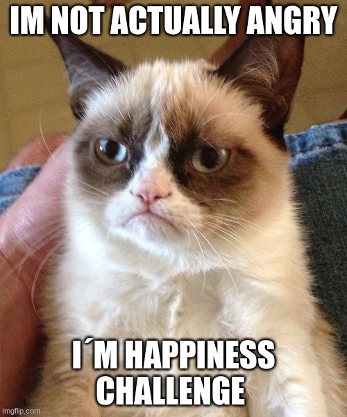 Angry cat |  IM NOT ACTUALLY ANGRY; I´M HAPPINESS CHALLENGE | image tagged in angry cat | made w/ Imgflip meme maker