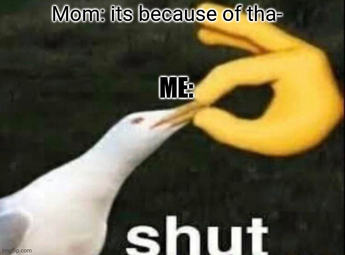 SHUT | Mom: its because of tha- ME: | image tagged in shut | made w/ Imgflip meme maker