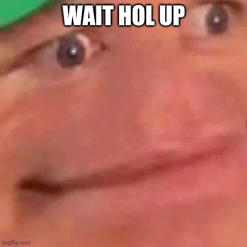 Wait Hol Up | WAIT HOL UP | image tagged in wait hol up | made w/ Imgflip meme maker