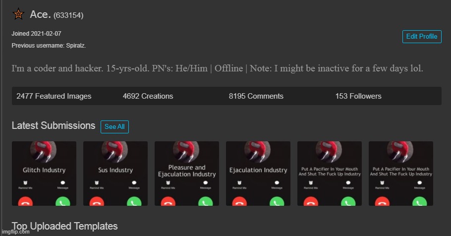 holy shit, what happened to my profile. did i really use the blank balls industry temp that much? | made w/ Imgflip meme maker