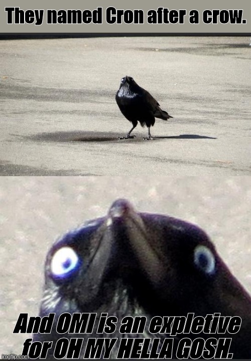 Oh My Cron |  They named Cron after a crow. And OMI is an expletive for OH MY HELLA GOSH. | image tagged in omicron,crow,birds,memes,funny,demotivationals | made w/ Imgflip meme maker