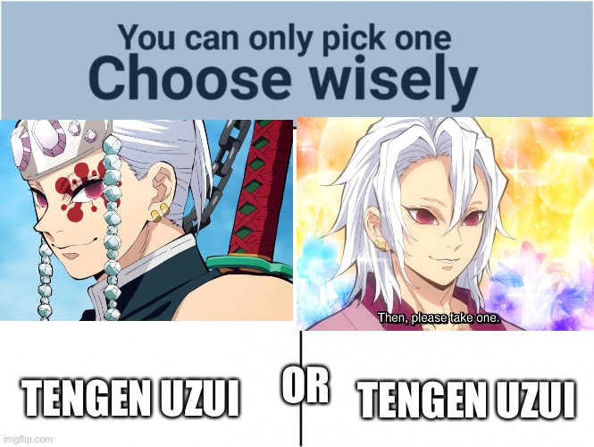 Waht da fuq | OR; TENGEN UZUI; TENGEN UZUI | image tagged in you can pick only one choose wisely,anime | made w/ Imgflip meme maker