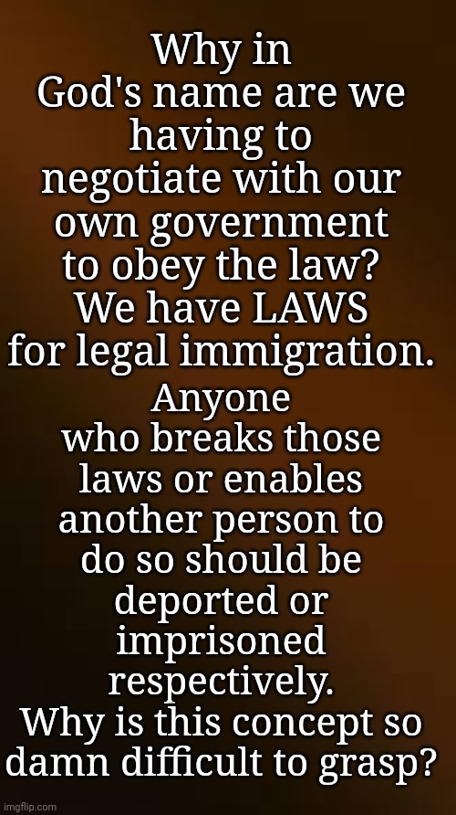 Why Is This Concept So Damn Difficult to Grasp? | Why in God's name are we having to negotiate with our own government to obey the law? We have LAWS for legal immigration. Anyone who breaks those laws or enables another person to do so should be deported or imprisoned respectively.
Why is this concept so damn difficult to grasp? | image tagged in illegal immigration,secure the border,it's the law,democrats,i am above the law | made w/ Imgflip meme maker