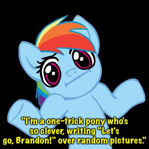 Pony Shrugs Meme | "I'm a one-trick pony who's so clever, writing "Let's go, Brandon!" over random pictures." | image tagged in memes,pony shrugs | made w/ Imgflip meme maker