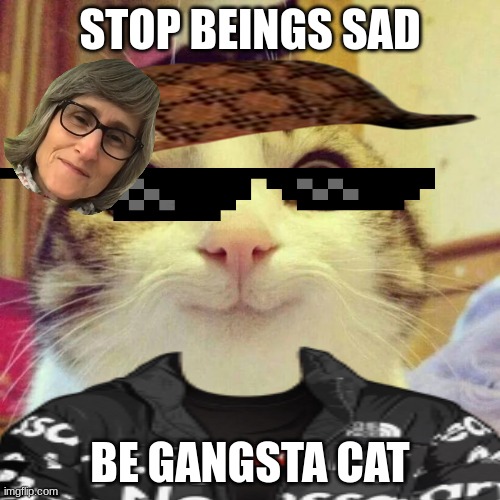 gangsta | STOP BEINGS SAD; BE GANGSTA CAT | image tagged in cats | made w/ Imgflip meme maker