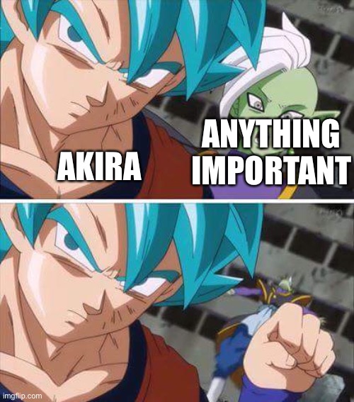 Why am I awake rn? | ANYTHING IMPORTANT; AKIRA | image tagged in goku hits zamasu | made w/ Imgflip meme maker