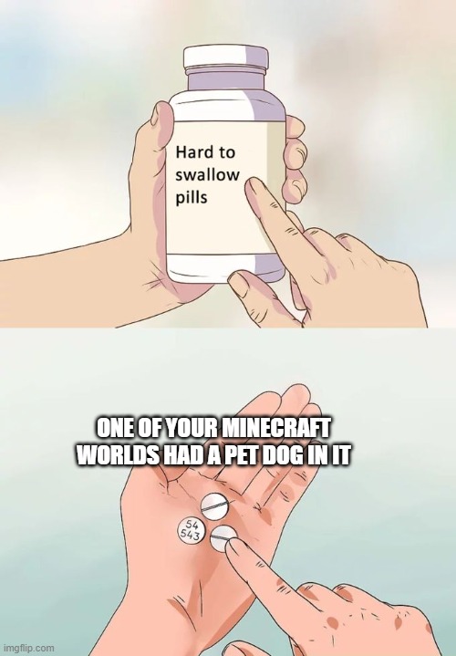 minecraft | ONE OF YOUR MINECRAFT WORLDS HAD A PET DOG IN IT | image tagged in memes,hard to swallow pills | made w/ Imgflip meme maker