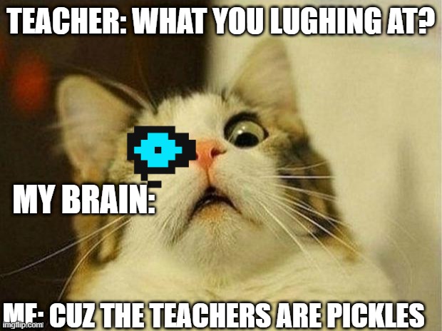 Scared Cat Meme | TEACHER: WHAT YOU LUGHING AT? MY BRAIN:; ME: CUZ THE TEACHERS ARE PICKLES | image tagged in memes,scared cat | made w/ Imgflip meme maker