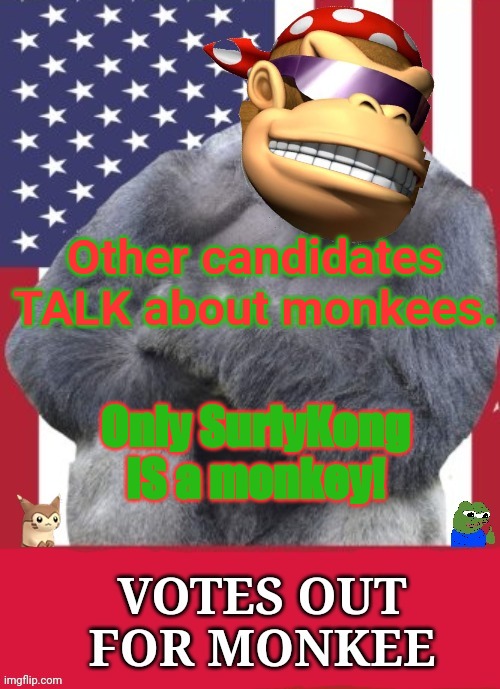 Vote Monkee | Other candidates TALK about monkees. Only SurlyKong IS a monkey! | image tagged in votes out for monkee,common sense,party,surlykong,for president | made w/ Imgflip meme maker