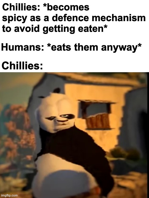 but why, why would you do that? | Chillies: *becomes spicy as a defence mechanism to avoid getting eaten*; Humans: *eats them anyway*; Chillies: | image tagged in po wut,memes,unfunny | made w/ Imgflip meme maker