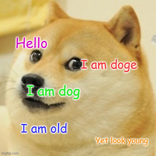 Doge | Hello; I am doge; I am dog; I am old; Yet look young | image tagged in memes,doge,doggo,old | made w/ Imgflip meme maker