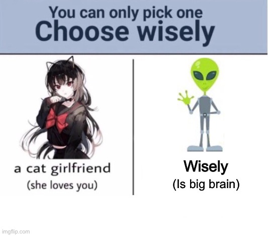 Choose wisely, seriously |  Wisely; (Is big brain) | image tagged in choose wisely | made w/ Imgflip meme maker