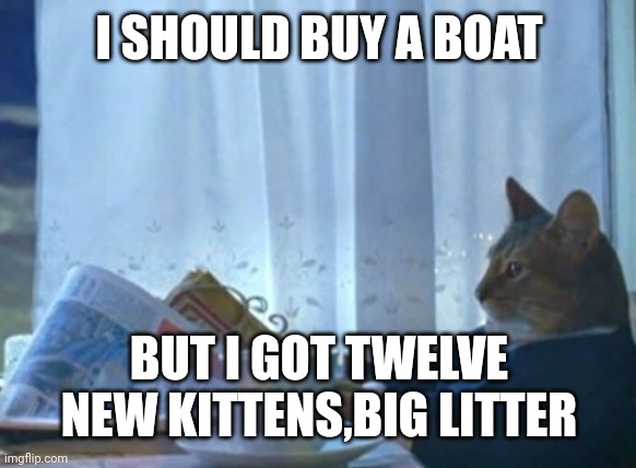 I Should Buy A Boat Cat | I SHOULD BUY A BOAT; BUT I GOT TWELVE NEW KITTENS,BIG LITTER | image tagged in memes,i should buy a boat cat | made w/ Imgflip meme maker