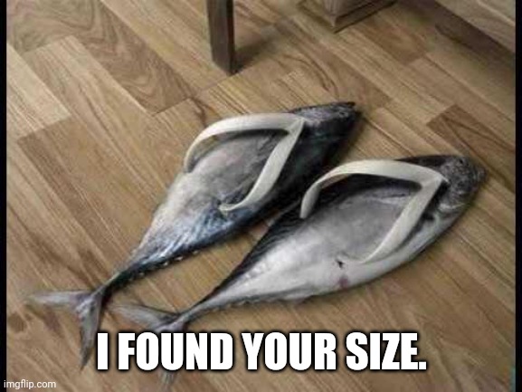 Fish Flops | I FOUND YOUR SIZE. | image tagged in fish flops | made w/ Imgflip meme maker