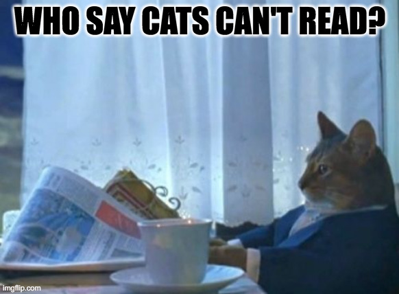 I Should Buy A Boat Cat | WHO SAY CATS CAN'T READ? | image tagged in memes,i should buy a boat cat | made w/ Imgflip meme maker