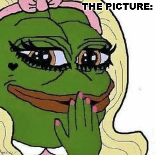 THE PICTURE: | made w/ Imgflip meme maker