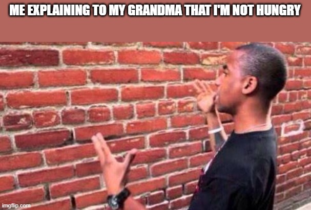 Brick Wall |  ME EXPLAINING TO MY GRANDMA THAT I'M NOT HUNGRY | image tagged in brick wall | made w/ Imgflip meme maker