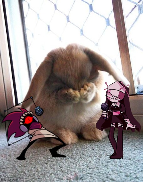 Bunny got me like | image tagged in embarrassed bunny,zipper | made w/ Imgflip meme maker