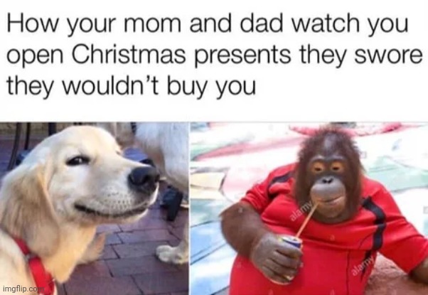 sly | image tagged in funny memes,christmas,christmas presents | made w/ Imgflip meme maker
