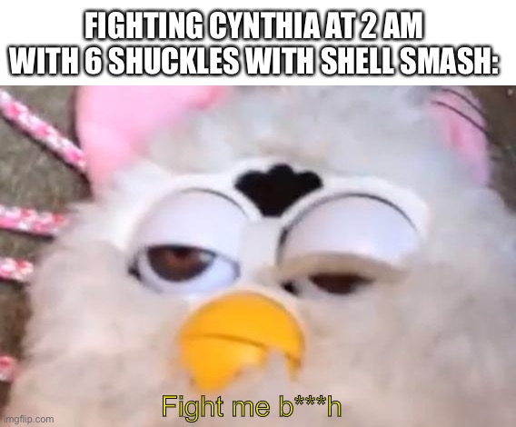 Randomizers for platinum are stuff of legends | FIGHTING CYNTHIA AT 2 AM WITH 6 SHUCKLES WITH SHELL SMASH:; Fight me b***h | image tagged in drunk furby | made w/ Imgflip meme maker