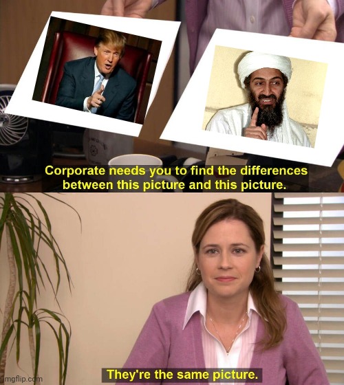 They are the same picture | image tagged in they are the same picture | made w/ Imgflip meme maker