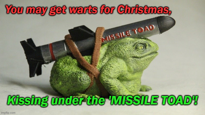Missile Toad | You may get warts for Christmas, Kissing under the 'MISSILE TOAD'! | image tagged in missile toad,puns,christmas,jokes | made w/ Imgflip meme maker