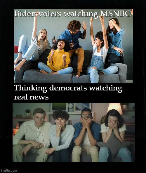 Happy dems watching MSNBC | Biden voters watching MSNBC; Thinking democrats watching 
real news | image tagged in biased media | made w/ Imgflip meme maker