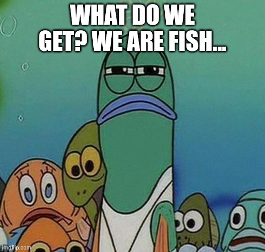SpongeBob | WHAT DO WE GET? WE ARE FISH... | image tagged in spongebob | made w/ Imgflip meme maker