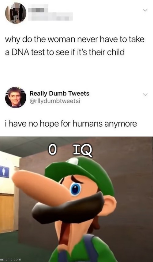 What he said | image tagged in 0 iq | made w/ Imgflip meme maker