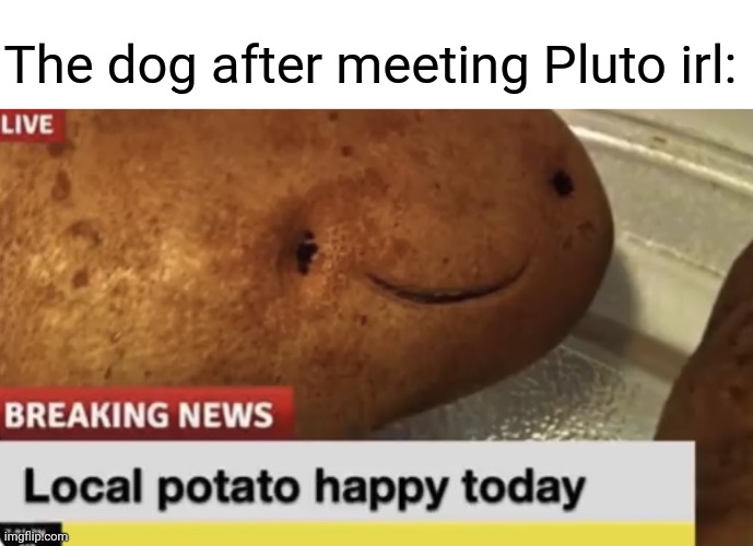 Dog meeting Pluto | The dog after meeting Pluto irl: | image tagged in local potato happy today,dog,pluto,comment section,comments,memes | made w/ Imgflip meme maker